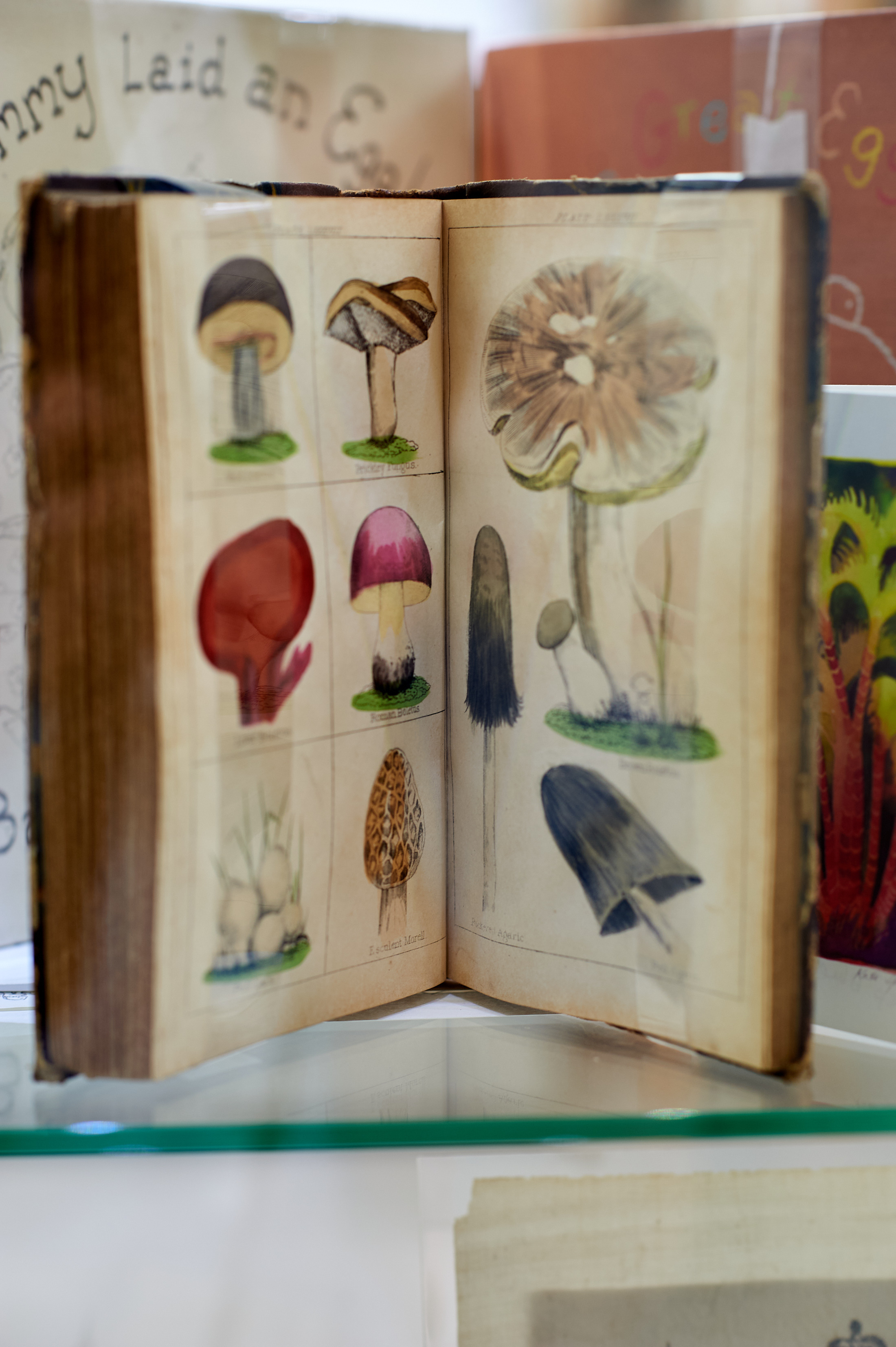 Firsts Book Fair by Jon Baker DSC 4227