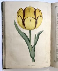 12 florists guide 2