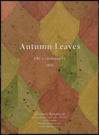 Preview image of Autumn Leaves