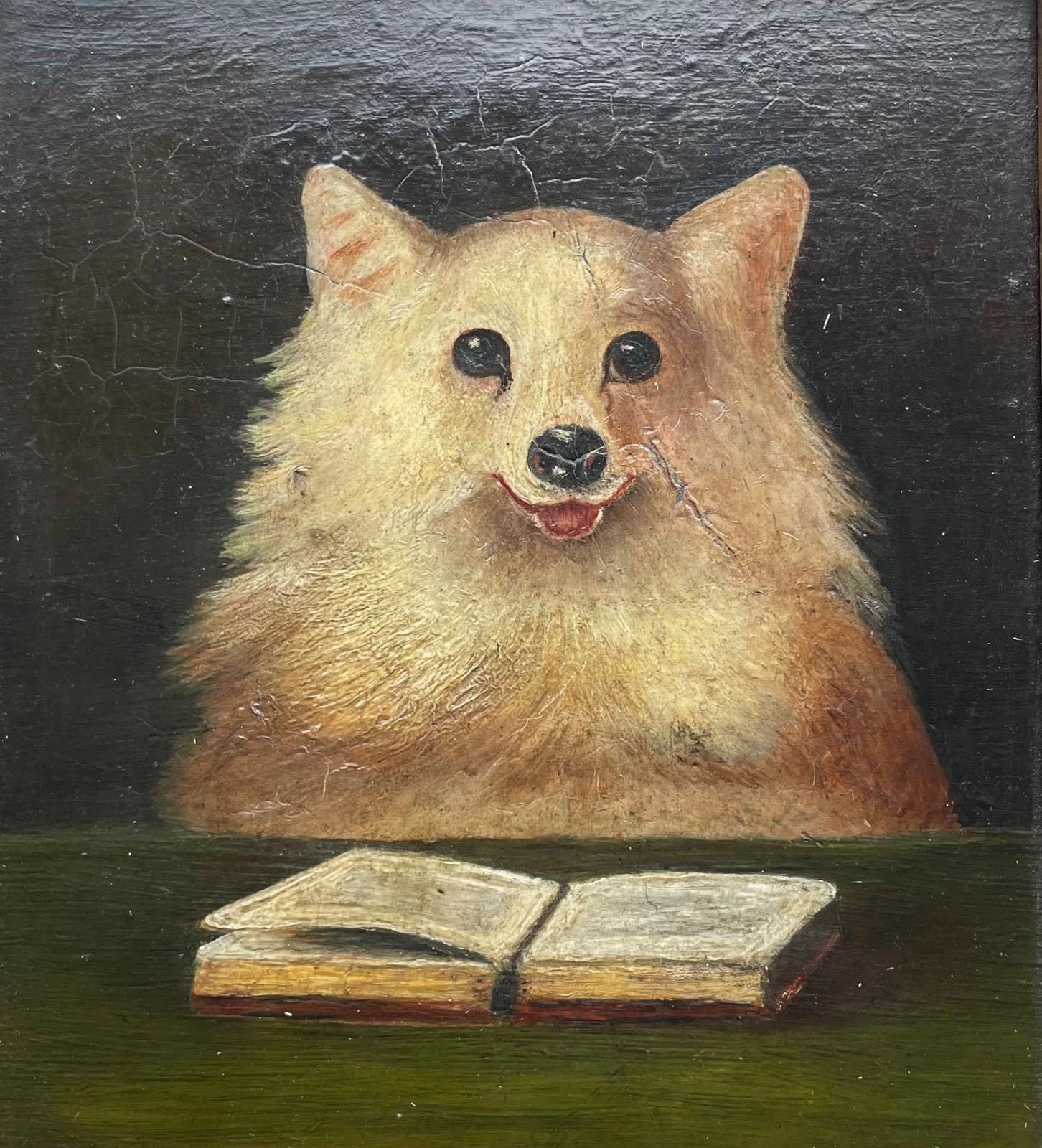 Paul Bostock Rare Books shop photo