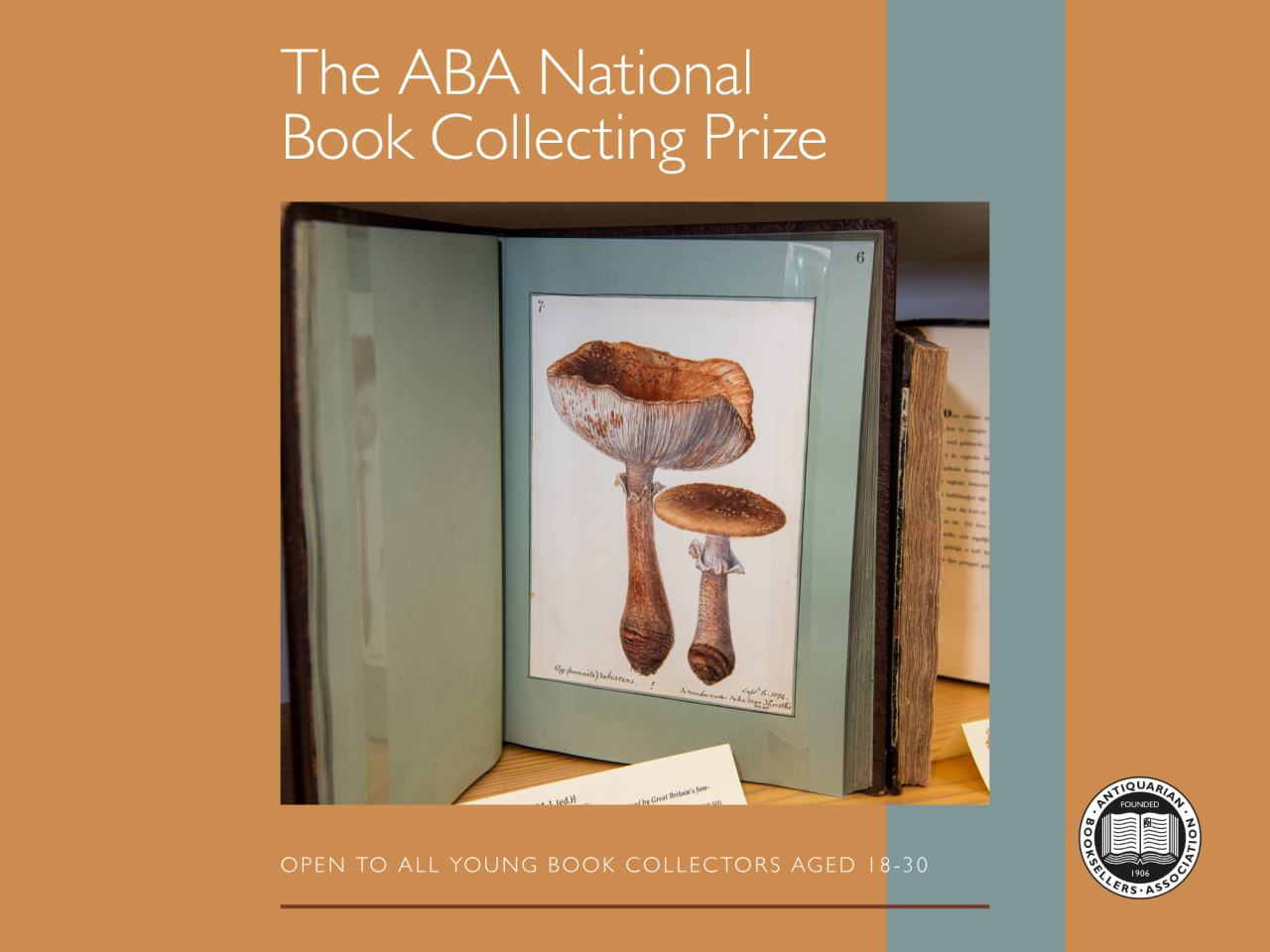Instagram Post Book Collecting Prize 2000 x 1500 px 1