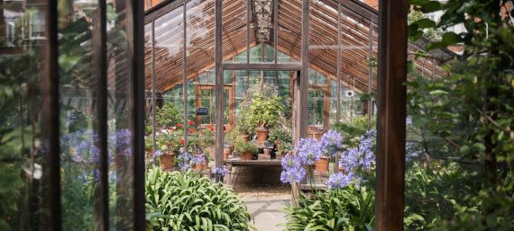 Plants CPG Summer 2019 4812 uai 1997x1123